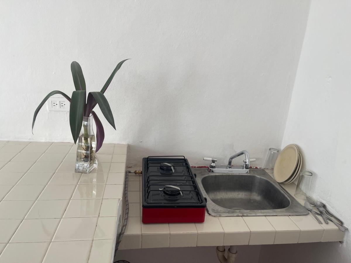 Apartamentos Cupules Mérida Dış mekan fotoğraf